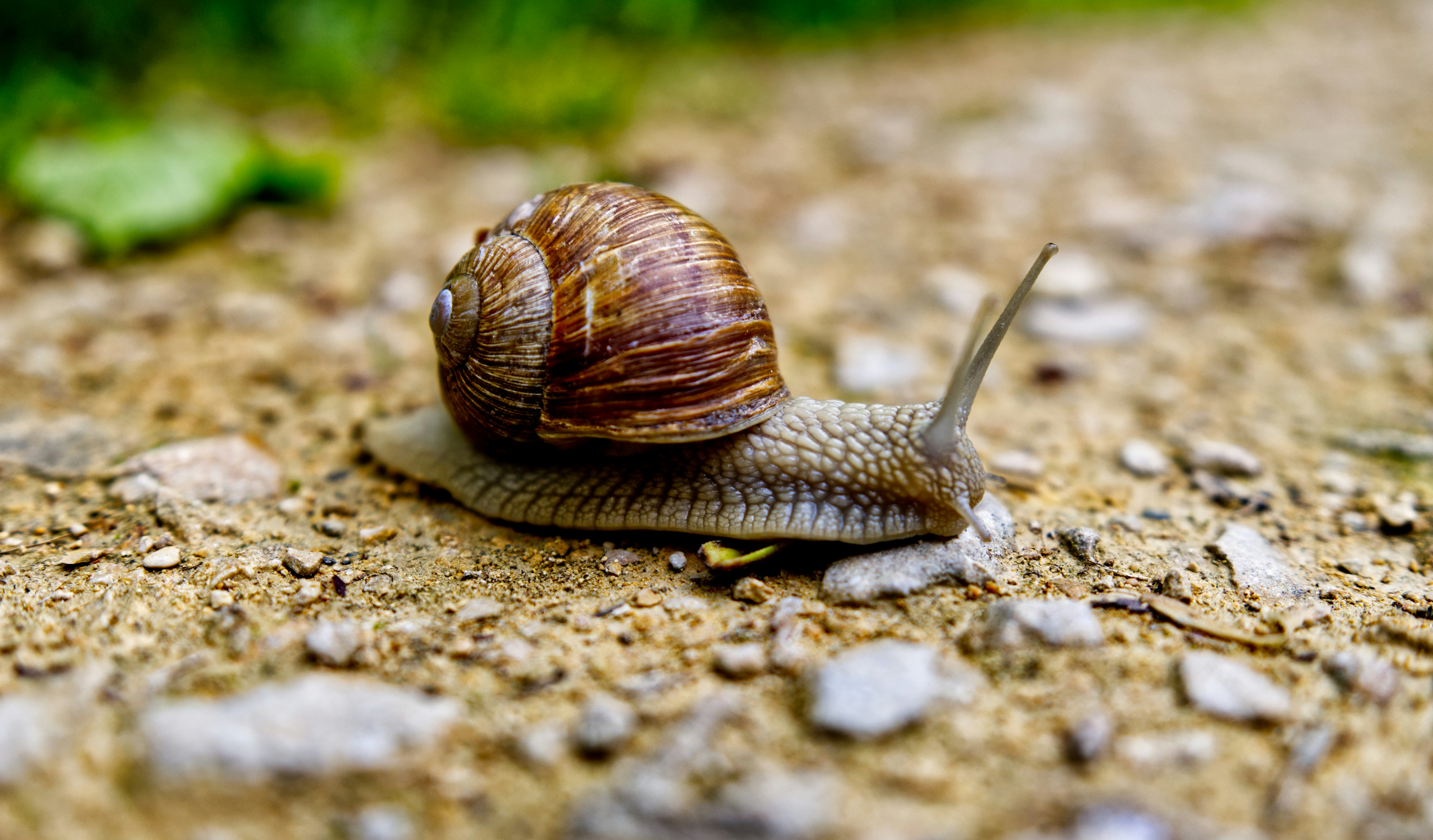 Trage website? Zo verbeter je je laadsnelheid en omzet